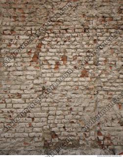 wall bricks plastered 0007